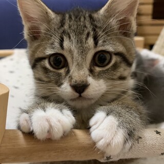 募集停止　大好き男子ひでき