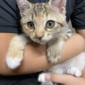 さみしがりやさんだから一緒にいてね