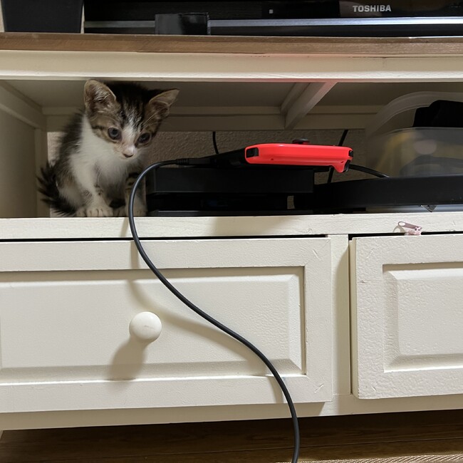 ひとさくのカバー写真