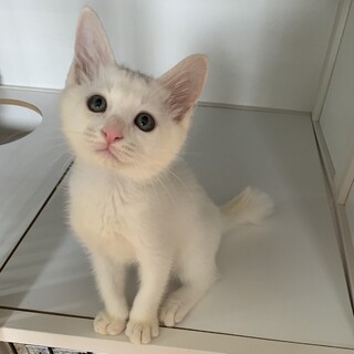 ギュッとしたくなる可愛い男の子♡