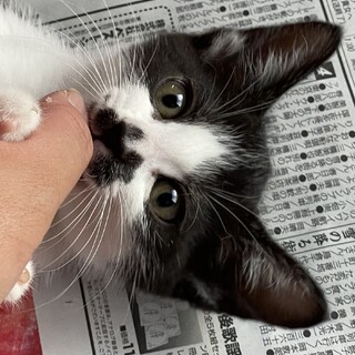 黒白の模様が可愛い♡すずちゃん