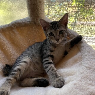 とにかく甘えん坊♡ノンちゃん