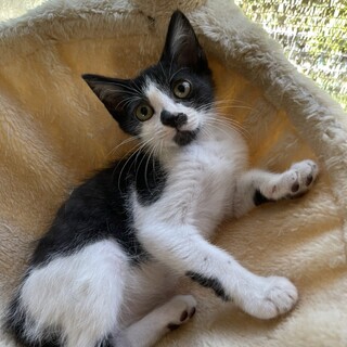 無邪気で可愛い♡こはなちゃん