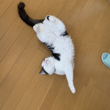 の写真