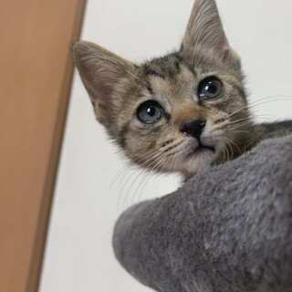 ありがとうございました★穏やかなアデルちゃん