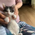 海産物姉妹、昆布とワカメ♪(昆布ちゃん♡)