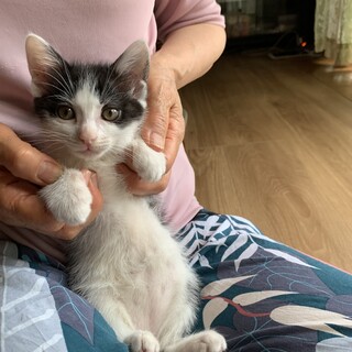 海産物姉妹、昆布とワカメ♪(昆布ちゃん♡)