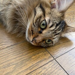 顔面ア〜ップ！！