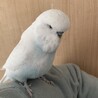 の写真