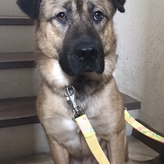 「ライモンド」男の子