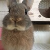 ま～さん