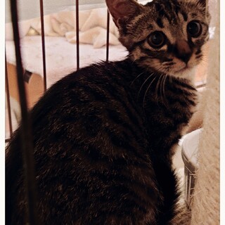 ボクは　ちょっとビビりな真剣佑❤️愛称まーたん