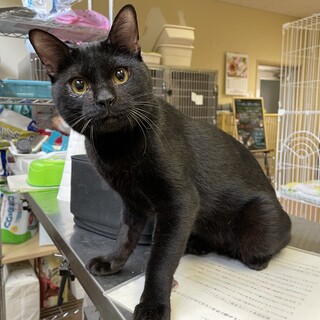 泣き虫で、甘えん坊。