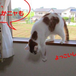 「4号通信⑩ 故郷離れて1年目」サムネイル2