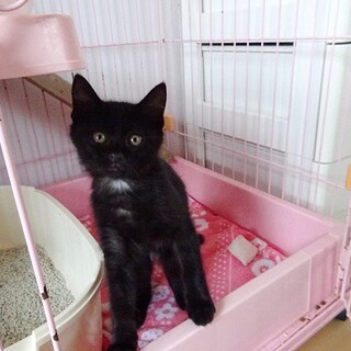 首の白毛がトレードマーク❣️