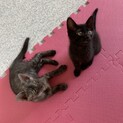 ⭐️仲良し甘えん坊兄弟⭐️