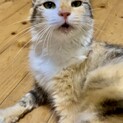 家族が決まりました☺︎