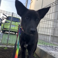 なっつ