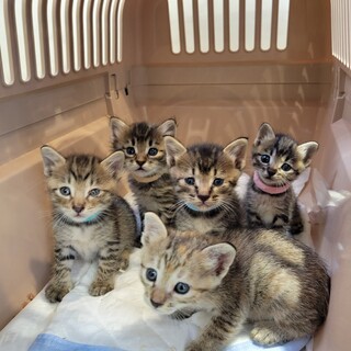 小さな天使❣️