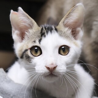 【お話中】七三分けがチャームポイント！