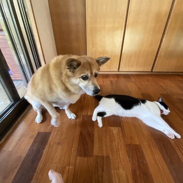 の写真