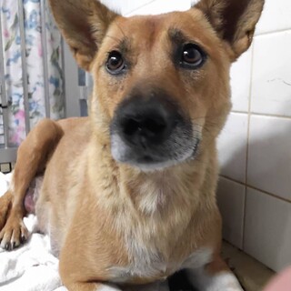 拘留きげん8月2日まで 期限があります！