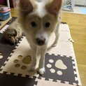 只今トライアル中