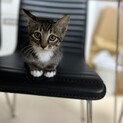 可愛いソックス履いてます！