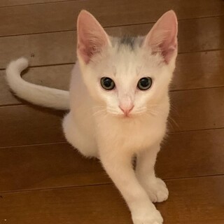 ご縁をいただきました★ありがとうございました