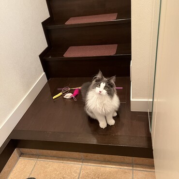 お見送り