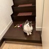 お見送り