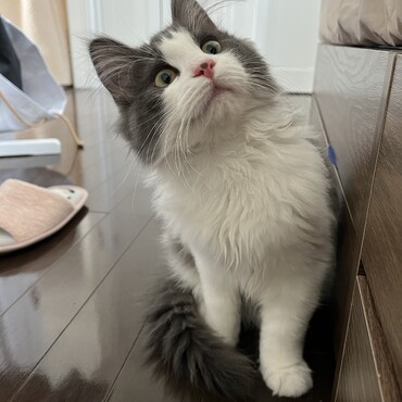 うにゅ？