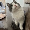 うにゅ？