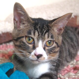 ベタ慣れ♡♡超甘えん坊の男の子