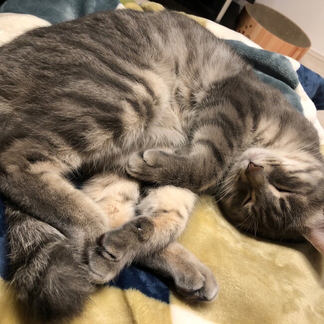 arumi001のカバー写真