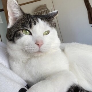 至急‼︎可愛い甘えん坊の男の子