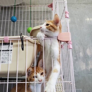 ありがとうございました！