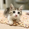 人が大好き！元気いっぱいで明るい男の子☆