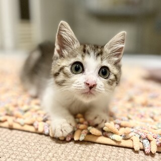 人が大好き！元気いっぱいで明るい男の子☆