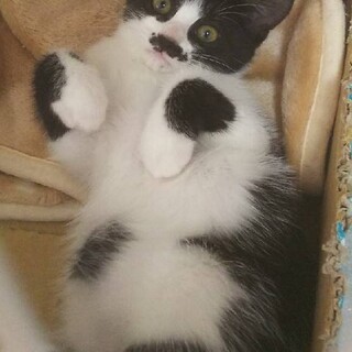 好奇心旺盛なおてんばさん！ナルちゃん