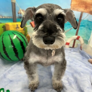 幸せみつかりました！