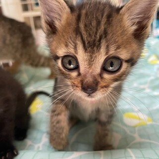 仲良し兄妹です