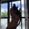 ジュエルペット