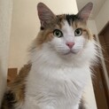 ゴージャスな姫ちゃん♡