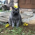 甘えん坊の男の子です。