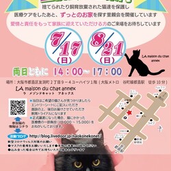『保護猫のずっとのお家探し里親会』 サムネイル3