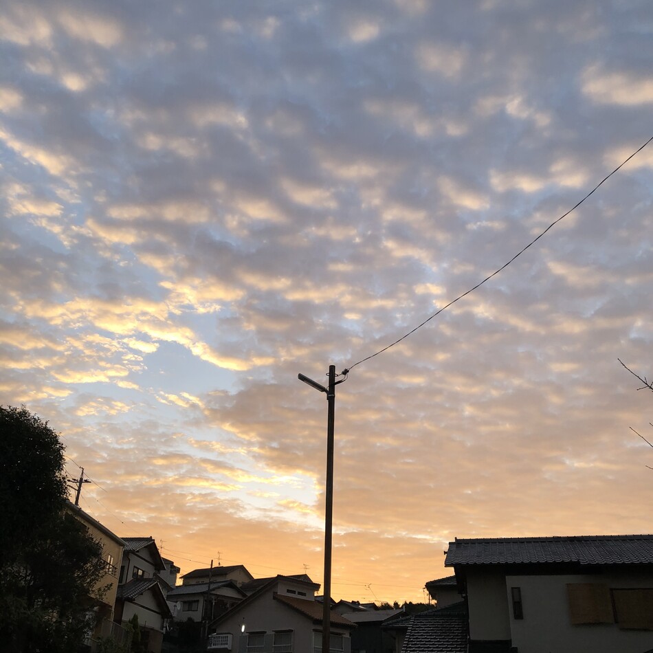 ジェニーのカバー写真