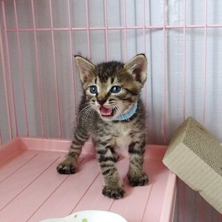 １ヶ月なつお君