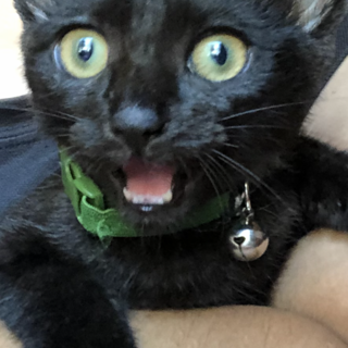 ありがとうございました！