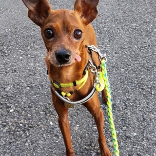 甘えん坊の男の子♂あなごくん